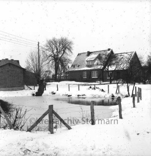 Rethwischdorf: Dorfteich mit Einzäunung: dahinter Wohnhaus und Bauernhaus mit Bäumen: Winter
