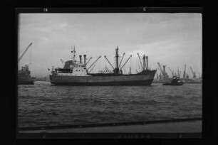 Christa (1952), Frachtschiff, Gehrke & Co, Hamburg, Bau-Nr. 701