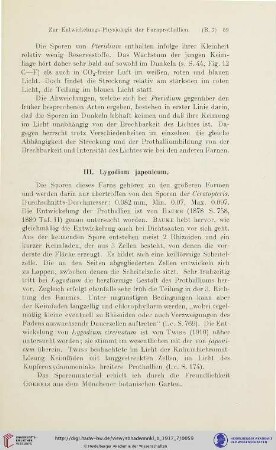III. Lygodium japonicum