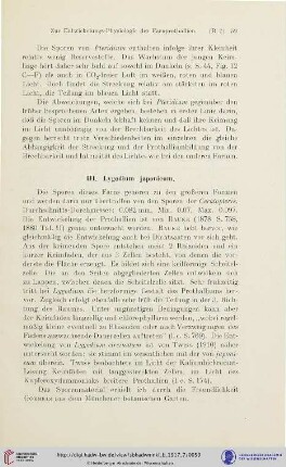 III. Lygodium japonicum