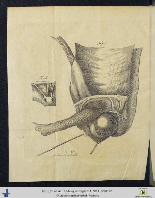 Tabula II.
