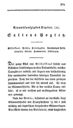 Einundfunfzigstes Kapitel. (40) Saltens Vogtey