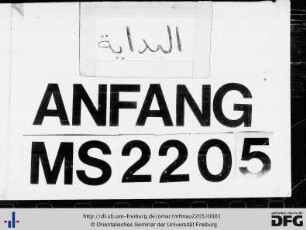 MF Mau 2205