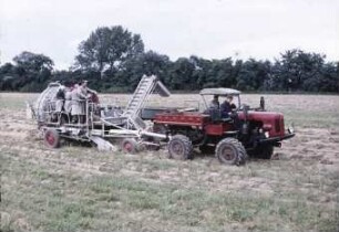 Allradschlepper RTA 60 Typ "Bornim" Versuchsmuster V II bei der Hackfruchternte mit der Kartoffelvollerntemaschine E 675 (Weimar)