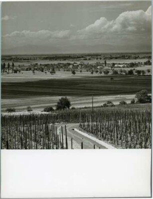 Offnadingen