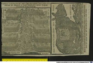Wahre Abbildung des grossen Wunder-Thiers Nashorn. oder RHINOCEROS.