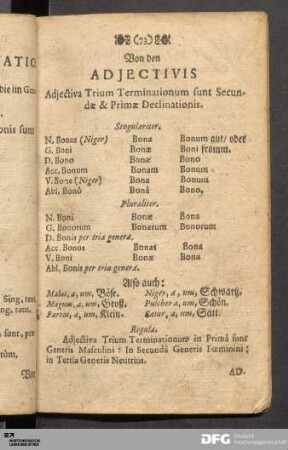 Von den Adjectivis