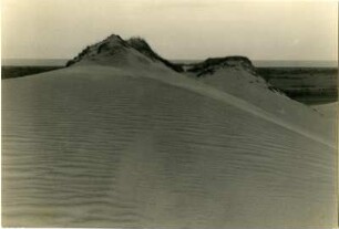 Grasbewachsene Sanddünen, Kurische Nehrung