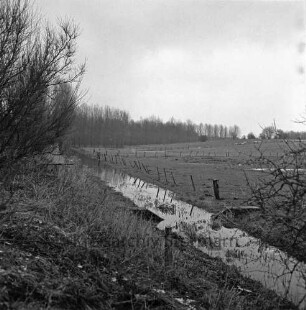 Feldmark: Bach mit Hochwasser: links Böschung mit Büschen: hinten rechts mehrere eingezäunte Weiden mit Schafherde: hinten Bäume