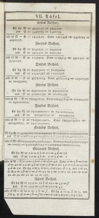 VII. Tafel.
