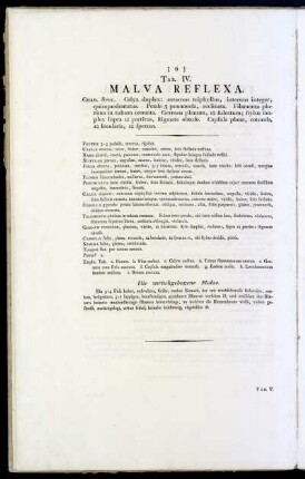 Tab. IV. Malva Reflexa.