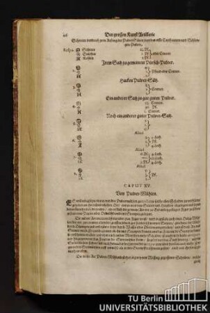 Caput XV. Von Pulver-Mühlen.