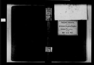 Rheinsheim, katholische Gemeinde: Standesbuch 1867-1869