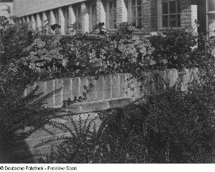 Foto, Hilversum
