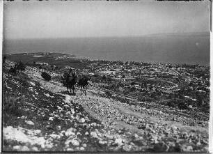 Haifa v. Karmel