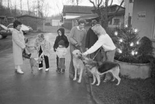 Weihnachtsbescherung für die Tiere im Tierheim Daxlanden