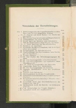 Verzeichnis der Textabbildungen.