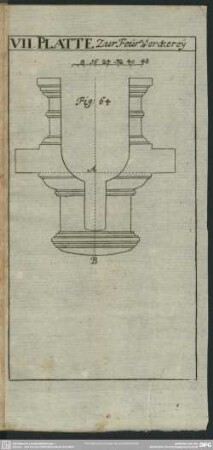 VII. Platte