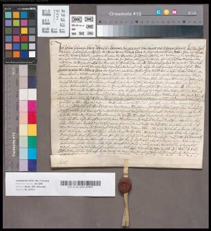 Lehensrevers über die Belehnung des Johann Hermann Schenken zu Schweinsberg mit Hof und Gericht zu Fronhausen.