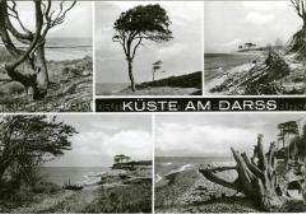 Küstenlandschaften auf dem Darß