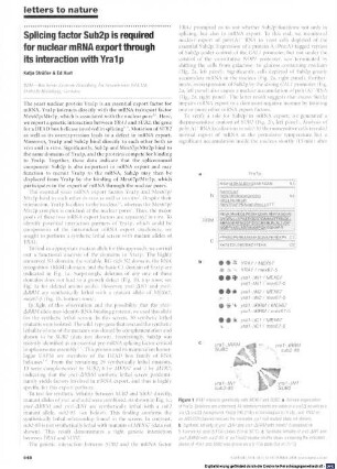 Splicing factor Sub2p is required for nuclear mRNA export through its interaction with Yra1p
