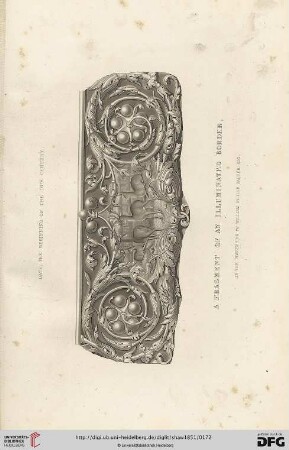 A fragment of an illuminated border in the possession of William Philip Salter, Esq.