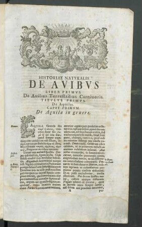 Liber primus. De Avibus Terrestribus Carnivoris.