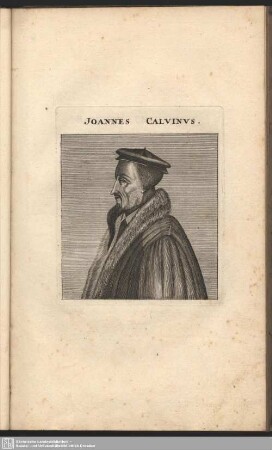 Joannes Calvinus