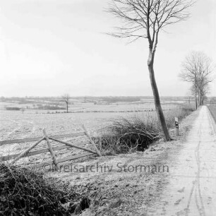 "Schöne Aussicht": Blick in die Knicklandschaft östlich von Neritz: vorn links Gatter: rechts Bäume