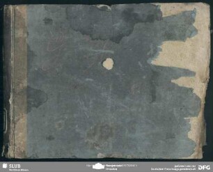 La Selvaggia nel Messico - Mus.4091-F-502
