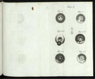 Tav. I. Fig. 1. [bis] Fig. 4.b