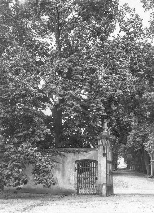 Dahlen. Blick aus dem Schlosshof gegen Tor und Allee. Blick nach Westen