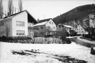 Wildtal: Ein- und Mehrfamilienhäuser in Wildtal