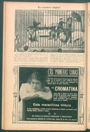 Un concierto original