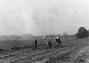 Flachswenden