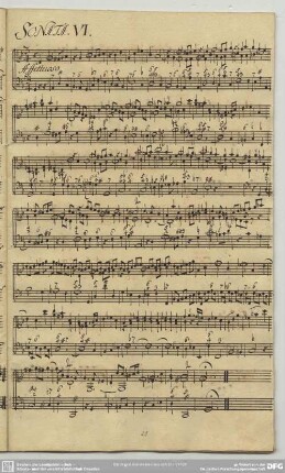 Sonaten, Vl Bc, op. 1,6