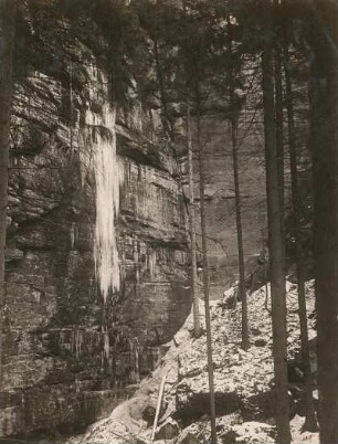 Sächsische Schweiz. Winterberggebiet. Bildung von Eiszapfen durch austretendes Sickerwasser