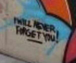 I WILL NEVER FORGET YOU!