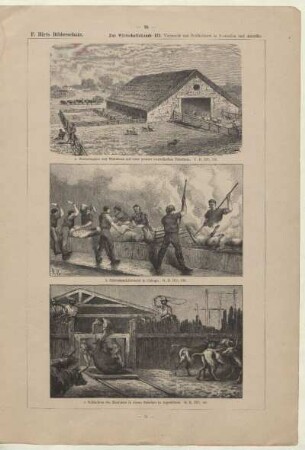 Wollschuppen und Wohnhaus auf einer grossen australischen Schaffarm