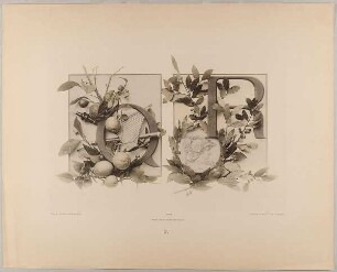 XVI. Initiale Q R mit Musikinstrumenten und Citronen - Medaillon und Lorbeer