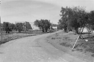 Straße einer Siedlung : Straße mit Olivenbäumen und Gebäuden