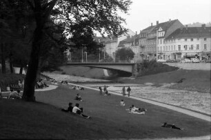 Freiburg: Dreisamwiese vom Spielplatz Schreiberstraße