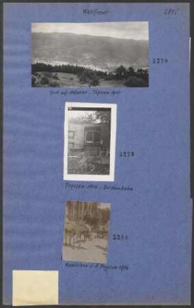 Vogesen 1916 - Belchenbahn