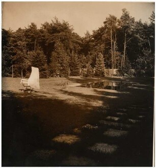 Garten Albert Speer, Berlin-Zehlendorf: Überblick über den Garten mit Schwimmbassin