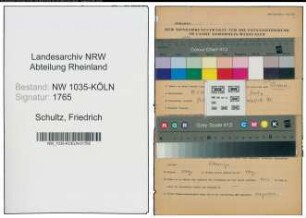 Entnazifizierung Friedrich Schultz , geb. 20.01.1902 (Betriebsdirektor)