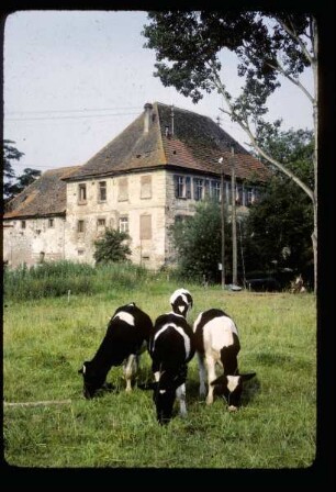 Ehemalige Mühle am Kaiserstuhl