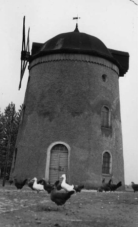 Strehla. Holländermühle
