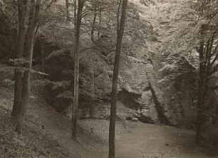 Thüringen. Felswand am Nordhang des Annatales bei Eisenach
