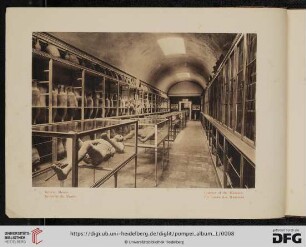4. Interno Museo - Intérieur du Musée - Interior of the Museum - Im Innern des Museums