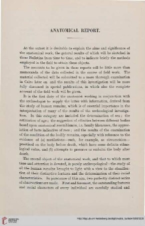 3.1908: Anatomical report (A)